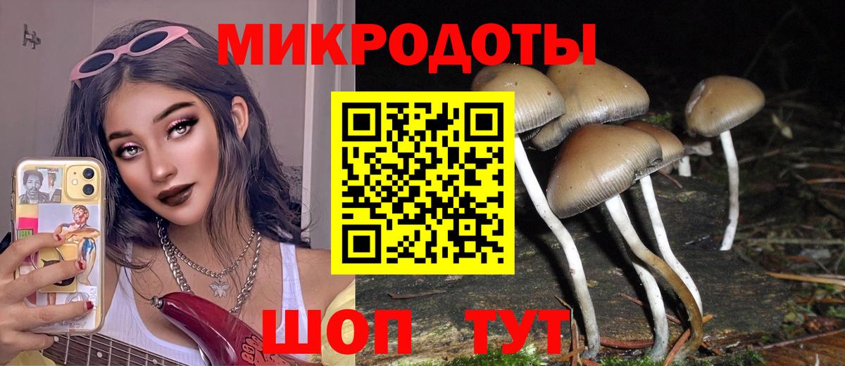 Галлюциногенные грибы Magic Shrooms  Вход с VPN  Томск  Псилоцибиновые грибы мицелий 